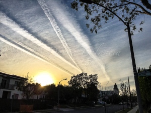 Chemtrails over Beverly Hills on Passover sunset. - Photo © 2016 Donna Balancia